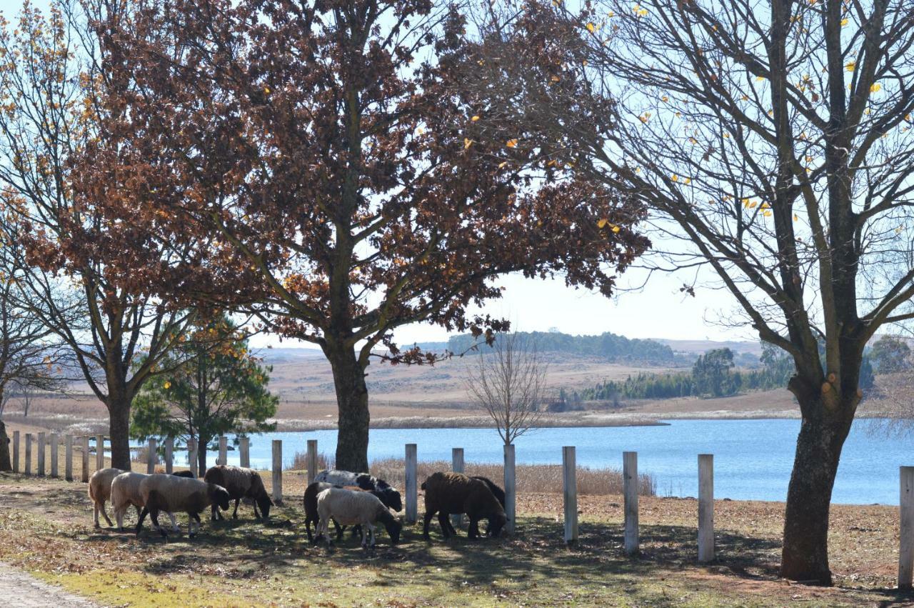 Dullstroom On The Dam Exterior foto
